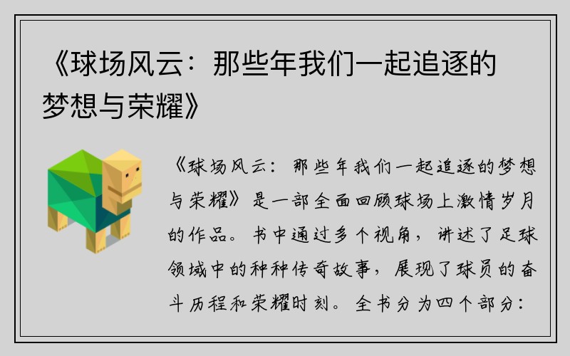 《球场风云：那些年我们一起追逐的梦想与荣耀》