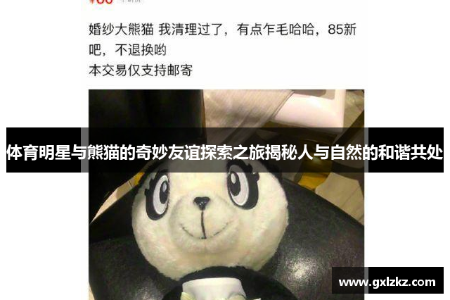 体育明星与熊猫的奇妙友谊探索之旅揭秘人与自然的和谐共处