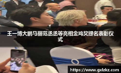 多多28王一博大鹏马丽范丞丞等亮相金鸡奖提名表彰仪式